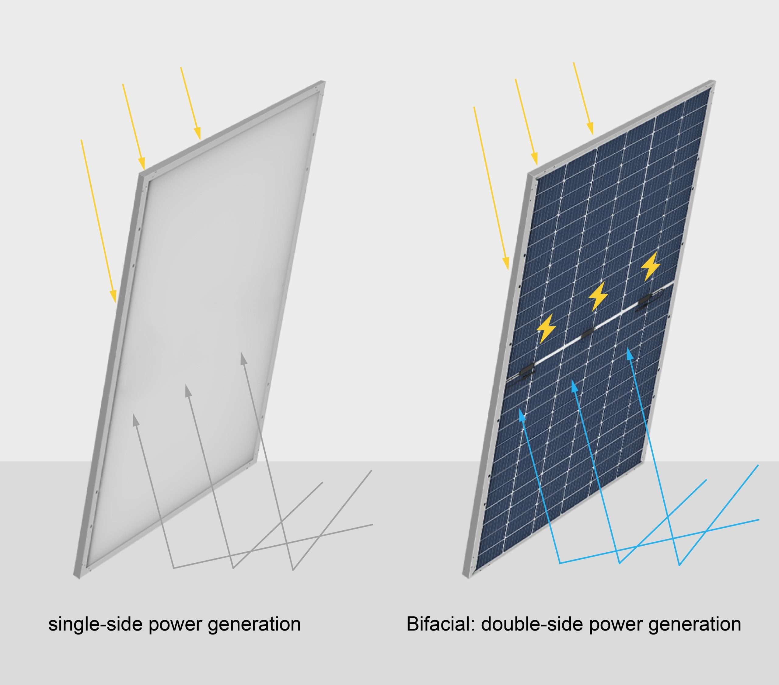 A dual-sided solar panel being used in an Agrivoltaic system that integrates clean energy and sustainable agriculture practices