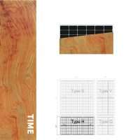 INVITAIC WOOD 100W patten BIPV module