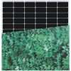 INVITAIC TIME 200w BIPV module Green Leaf pattern