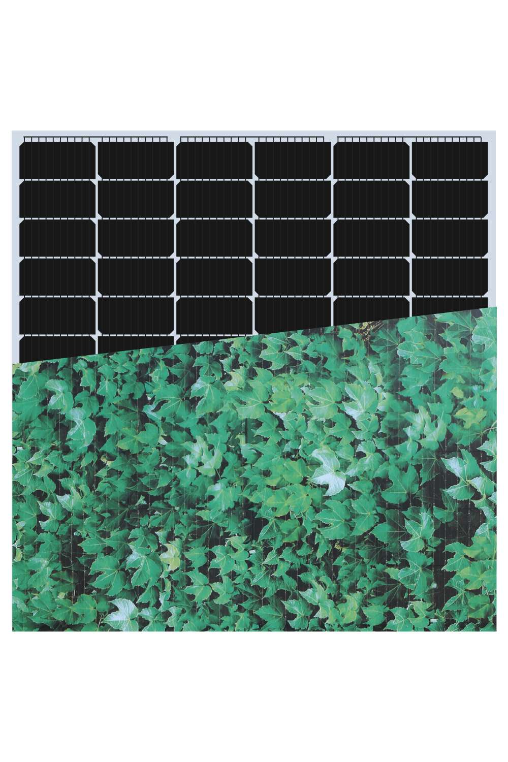 INVITAIC TIME 200w BIPV module Green Leaf pattern