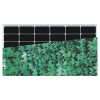 INVITAIC TIME 110w BIPV module Green Leaf pattern