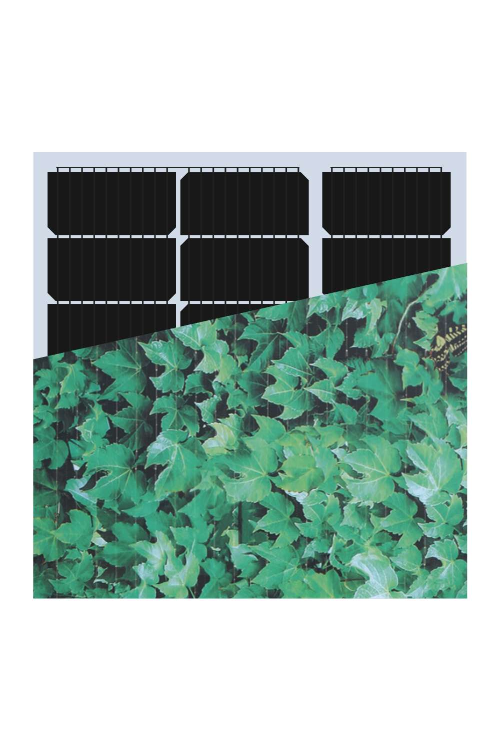 INVITAIC TIME 55w BIPV module Green Leaf pattern