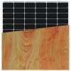 INVITAIC WOOD patten 185W BIPV module