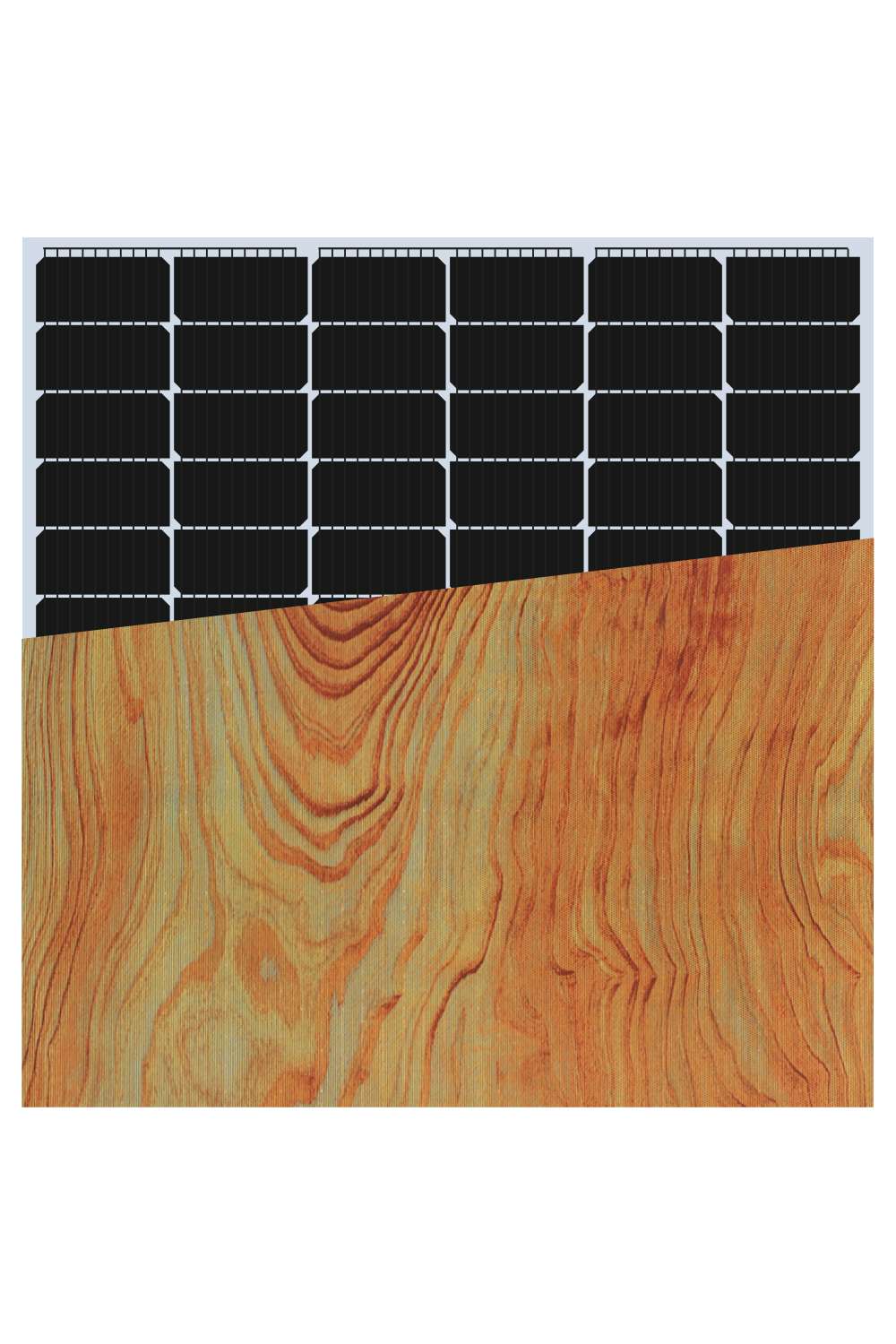 INVITAIC WOOD patten 185W BIPV module